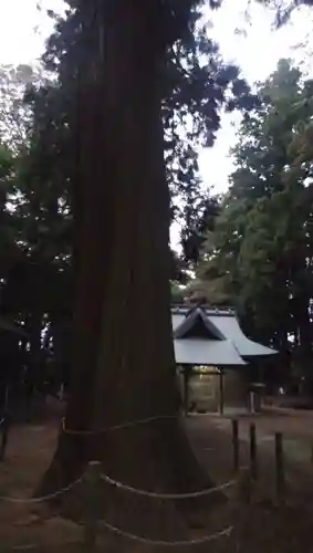大生神社のその他建物
