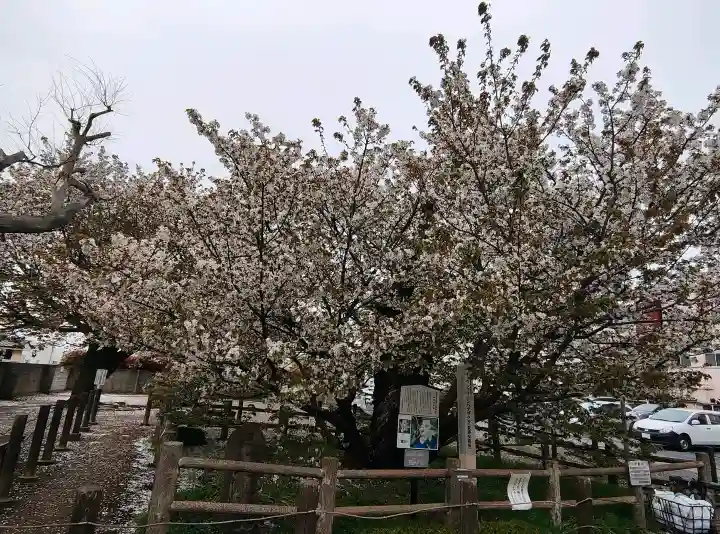 長勝院の{uncategorized: "未分類", other: "その他", undefined: "問題あり", building: "その他建物", grave: "お墓", sacred_gate: "鳥居", guardian: "狛犬", statue: "像", buddha: "仏像", history: "歴史", nature: "自然", garden: "庭園", animal: "動物", pagoda: "塔", temizu: "手水舎", mountain_gate: "山門・神門", sanctuary: "本殿・本堂", subordinate: "末社・摂社", art: "芸術", scenery: "景色", jizo: "地蔵", ema: "絵馬", goshuin: "御朱印", omikuji: "おみくじ", items: "授与品その他", amulet: "お守り", goshuincho: "御朱印帳", eats: "食事", festival: "お祭り", votive_dance: "神楽", shichigosan: "七五三参", wedding: "結婚式", experience: "体験その他", initially: "初詣", around: "周辺", anti_infection: "感染症対策"}