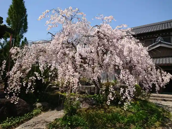 明星院(愛知県)