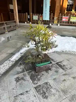 亀ケ池八幡宮(神奈川県)