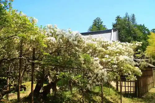 陽徳院の建物その他