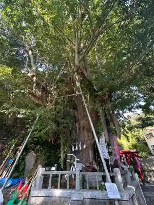 海南神社(神奈川県)