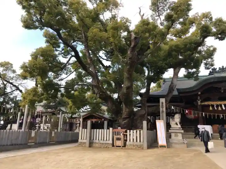 石切劔箭神社の自然