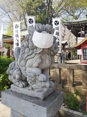 川越八幡宮(埼玉県)