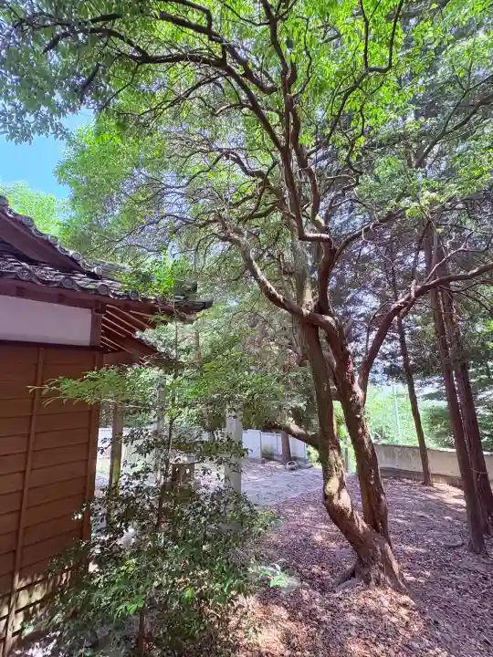 高津神社(香川県)