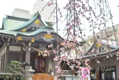 柏神社(千葉県)