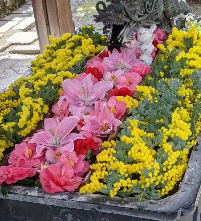 柳谷観音 楊谷寺(京都府)