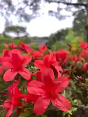 慈照寺（慈照禅寺・銀閣寺）(京都府)