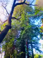 吉原鹿島神社(茨城県)