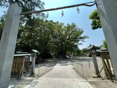大麻比古神社(徳島県)