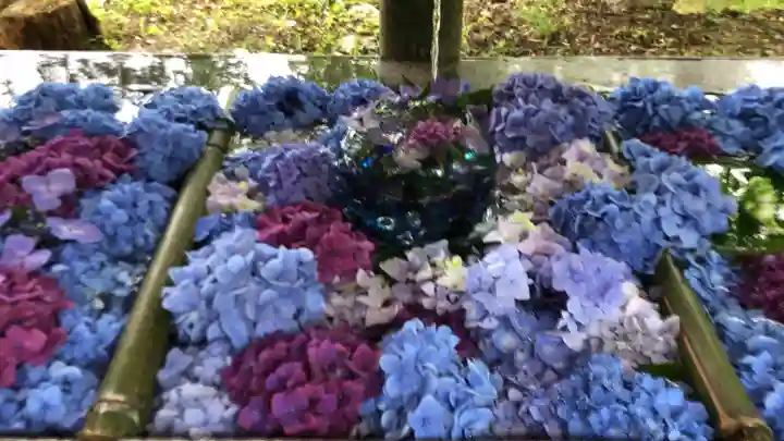 坂本八幡神社の手水舎