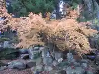 大宮五十鈴神社(長野県)