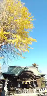 菊田神社の本殿・本堂