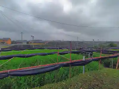 秋葉社（上町）の自然