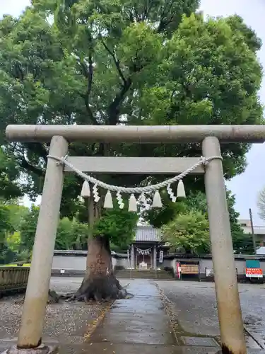 日吉浅間神社の鳥居