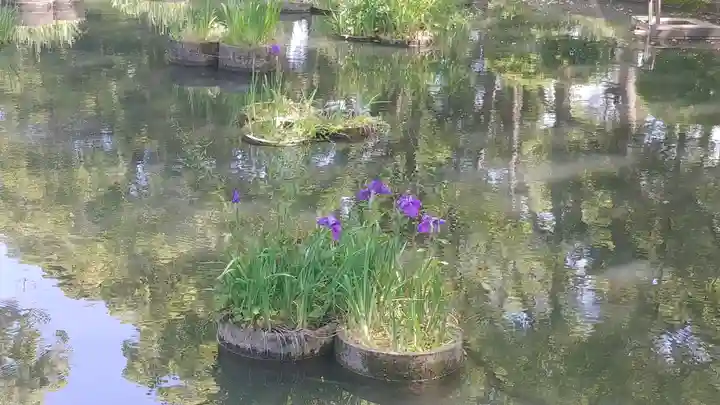 香椎宮(福岡県)