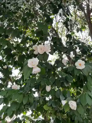 新羅神社の庭園