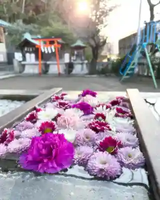 根岸八幡神社の手水舎