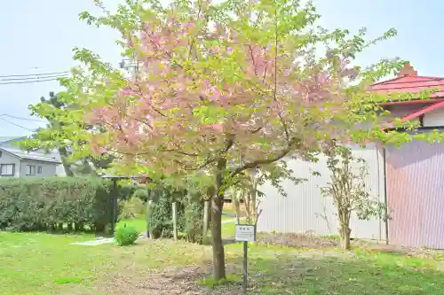 安禅寺(新潟県)