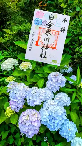 白金氷川神社の御朱印