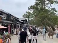 東大寺(奈良県)