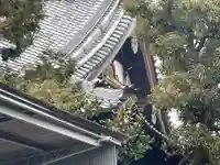 唯明寺(京都府)