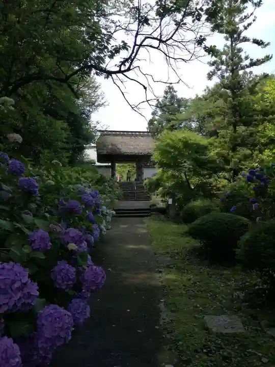 大聖寺(土浦大師不動尊)のその他建物