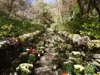 金蓮院(奈良県)