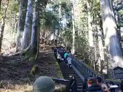 日光東照宮の建物その他