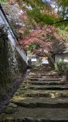 勝持寺（花の寺）(京都府)