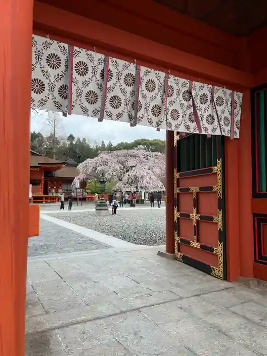 富士山本宮浅間大社(静岡県)