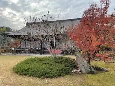 勧修寺(京都府)