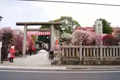 小村井 香取神社の鳥居