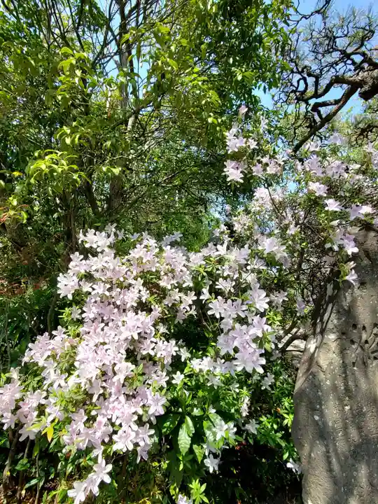 豊景神社の庭園
