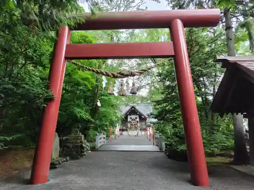 比布神社の鳥居