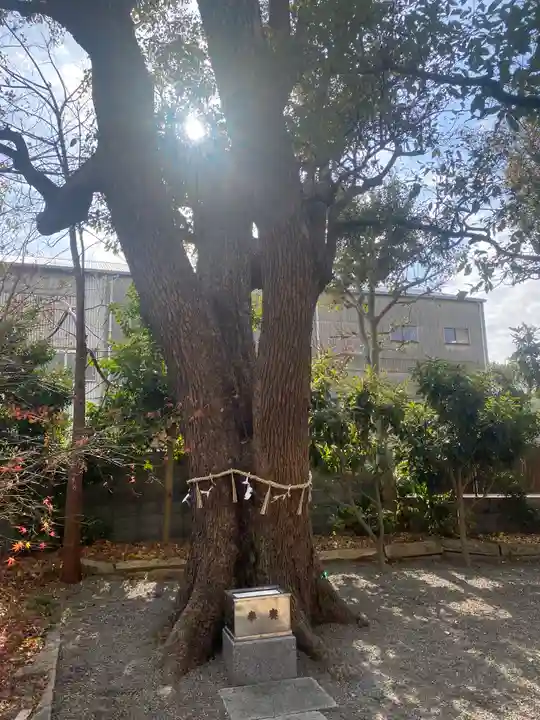 高龗神社・脇浜戎大社(大阪府)