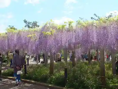 三大神社の自然