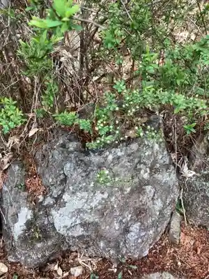白山神社の自然