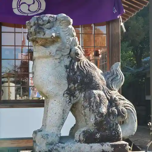 平井神社の狛犬