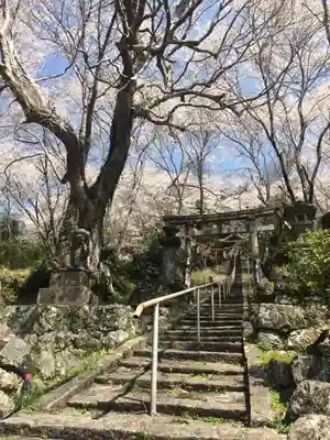 宇佐八幡宮の鳥居