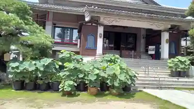 龍泉寺（足利厄除大師）(栃木県)