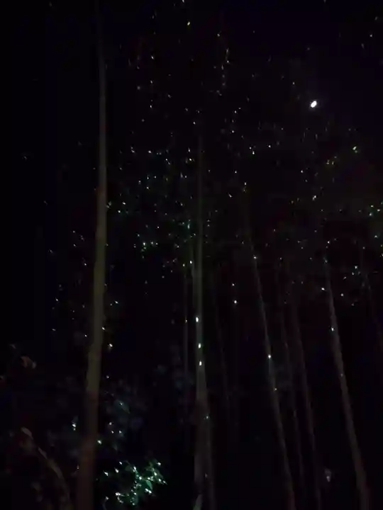 高台寺(高台寿聖禅寺・高臺寺)(京都府)