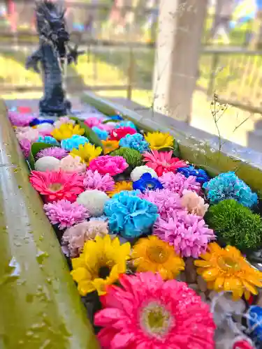 美幌神社の手水