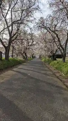 徳佐八幡宮の自然