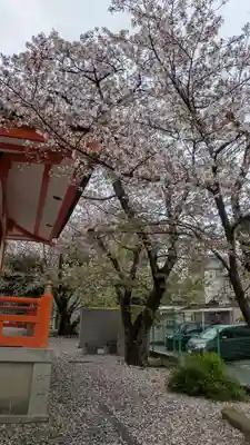 圓藏院(円蔵院)(京都府)