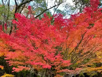 仁比山神社(佐賀県)
