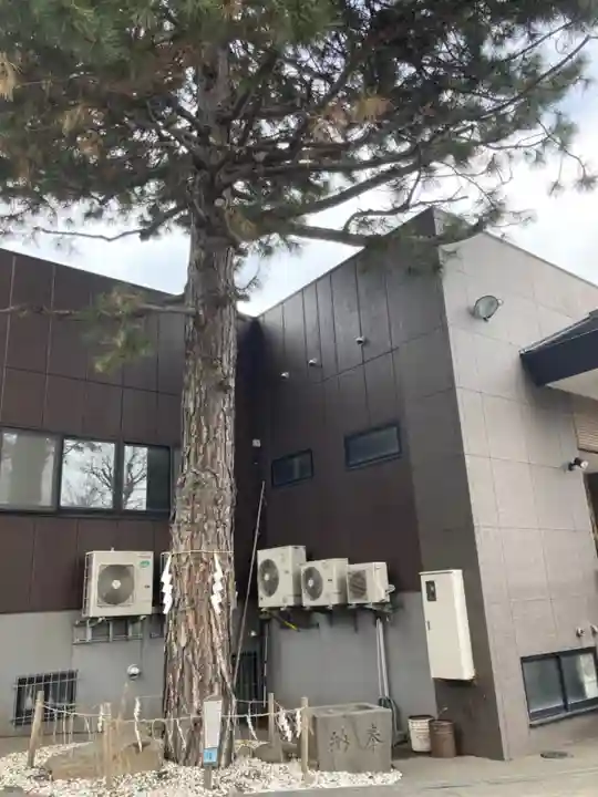 手稲神社の自然