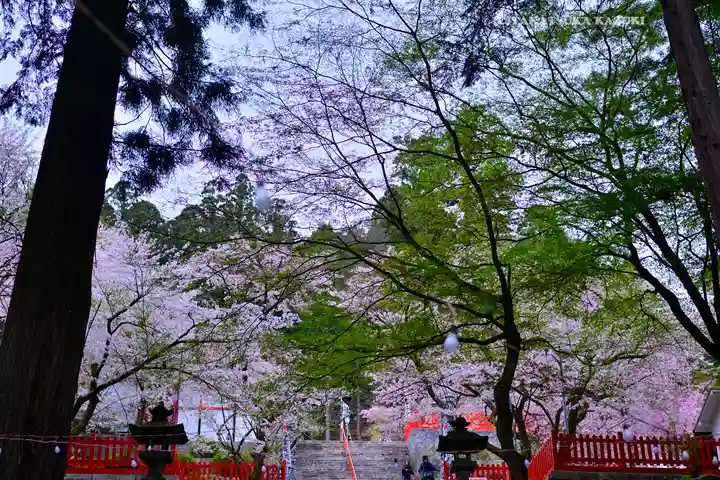 金櫻神社(山梨県)