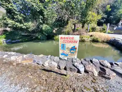 千手院(栃木県)