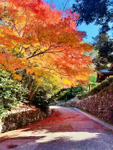 胡宮神社（敏満寺史跡）(滋賀県)